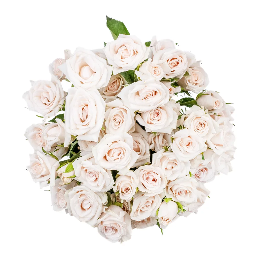 Букет из 7 бело-кремовых кустовых роз Роял Порцелина (02361)