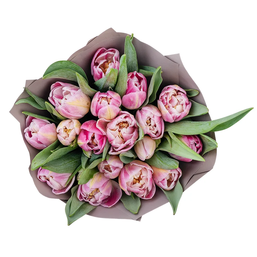 Букет из 17 бело-розовых махровых тюльпанов Бриндизи (03056)