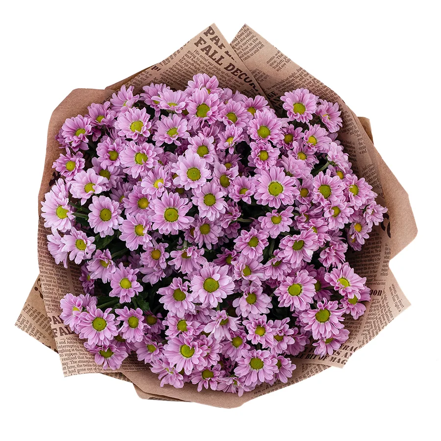 Букет из 17 розовых кустовых хризантем Сантини Крисси (02827)