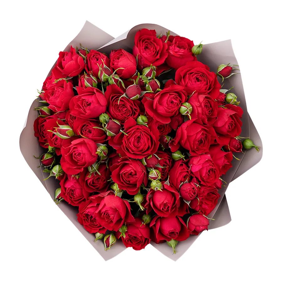 Букет из 7 ярко-красных кустовых пионовидных роз Скарлет Дименшн (02762)