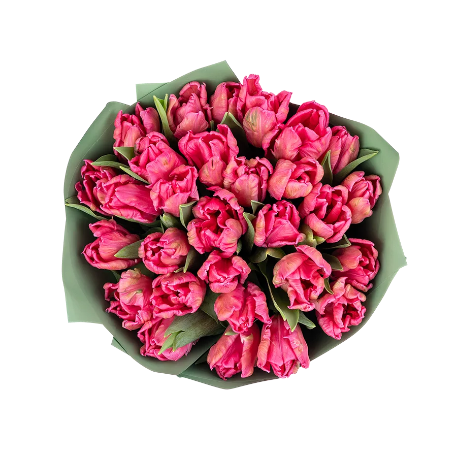 Букет из 29 розовых попугайных тюльпанов Марвел Пэррот (02064)