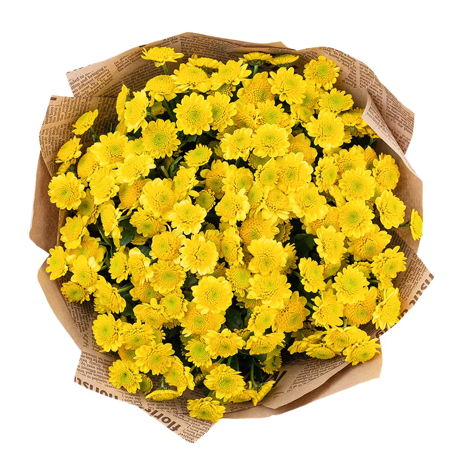 Букет из 19 желтых кустовых хризантем Сантини Сан Ап Санни (02855)
