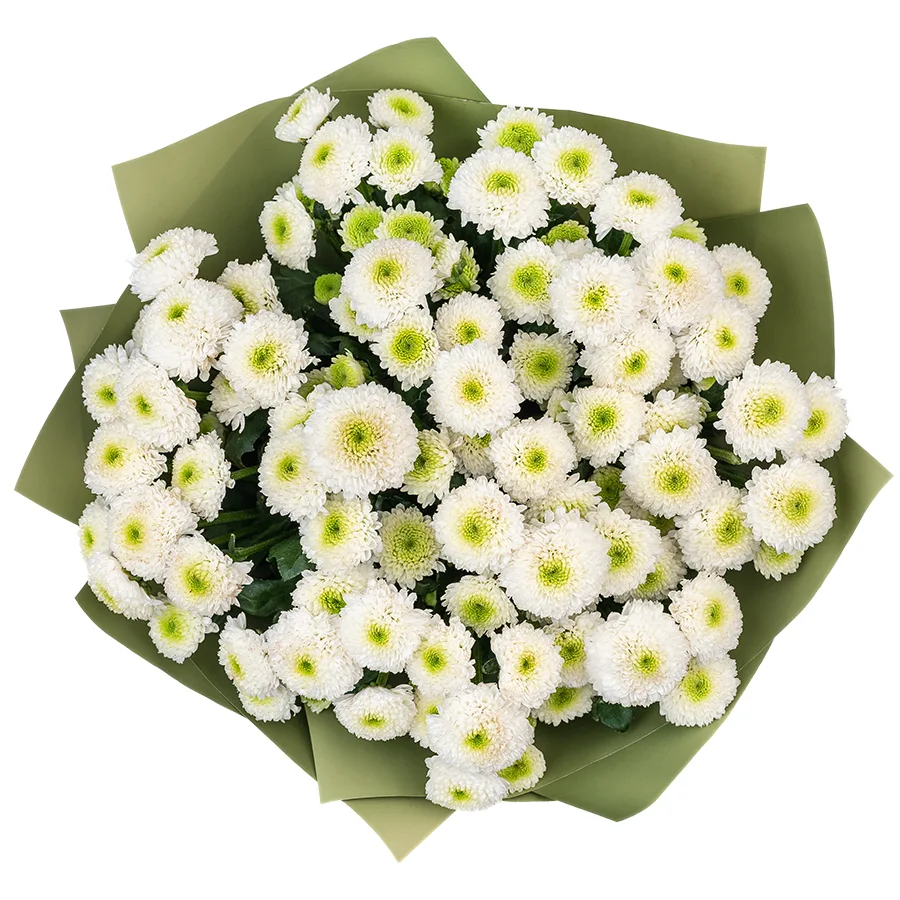 Букет из 13 белых кустовых хризантем Сантини Маверик Вайт (02641)