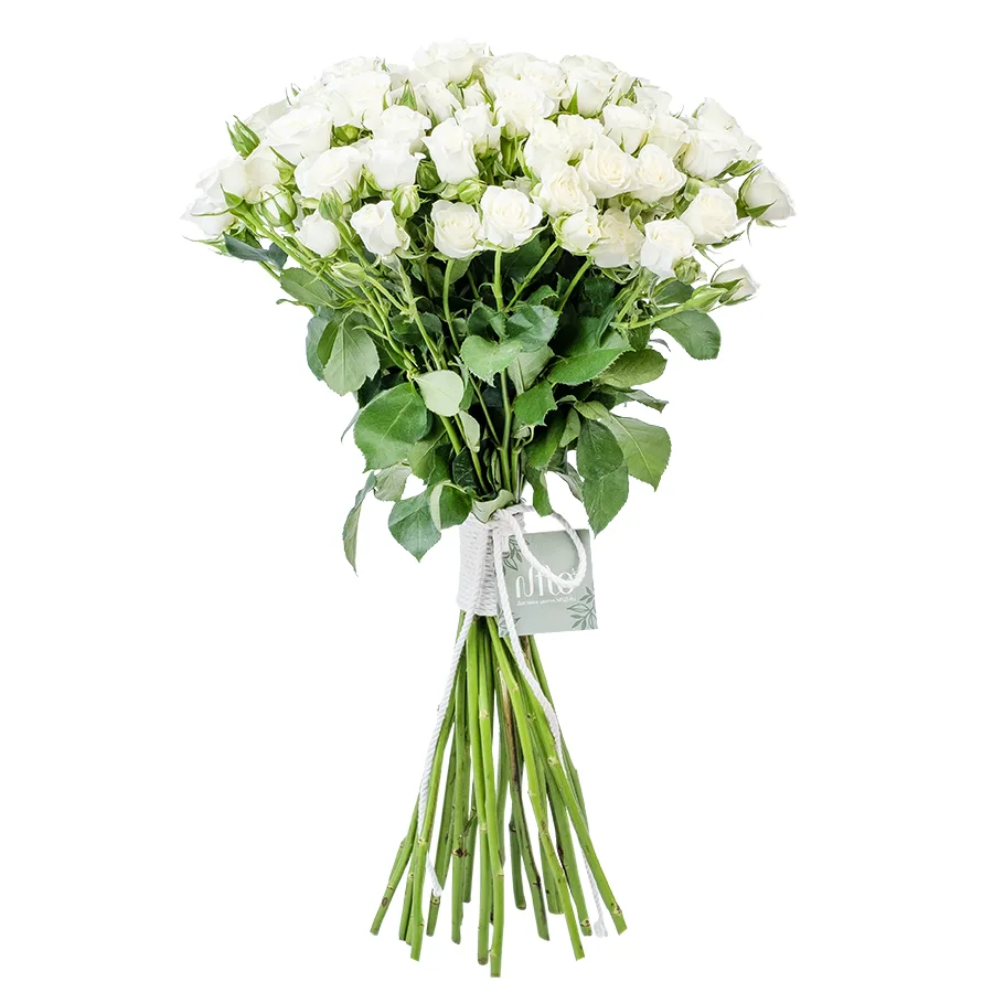Букет из 25 белых кустовых роз Сноуфлейк (02123)