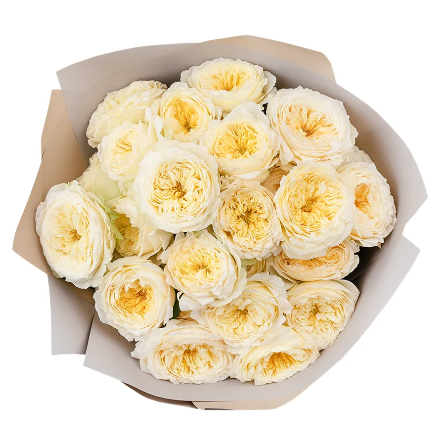 Букет из 9 светло-кремовых кустовых пионовидных роз Роял Парк (02739)