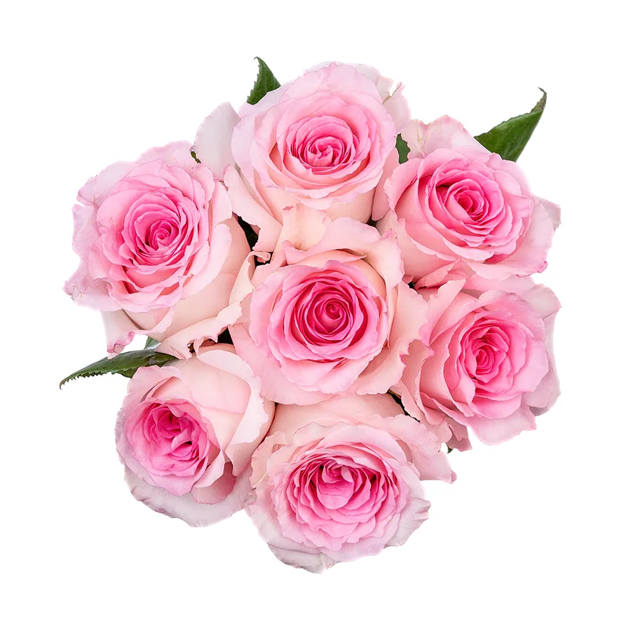 Букет из 7 бело-розовых роз Мандала (02668)