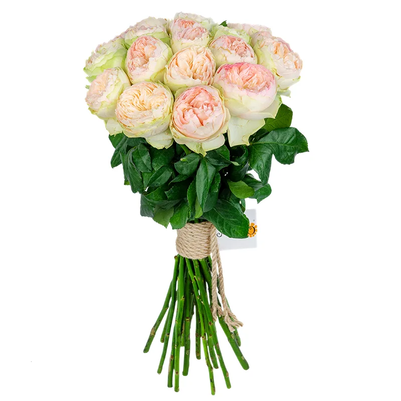 Букет из 19 кремово-розовых садовых роз Пинки Пай (01623)