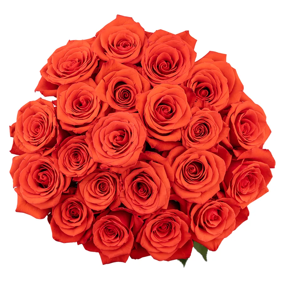 Букет из 21 алой розы Нина (02744)