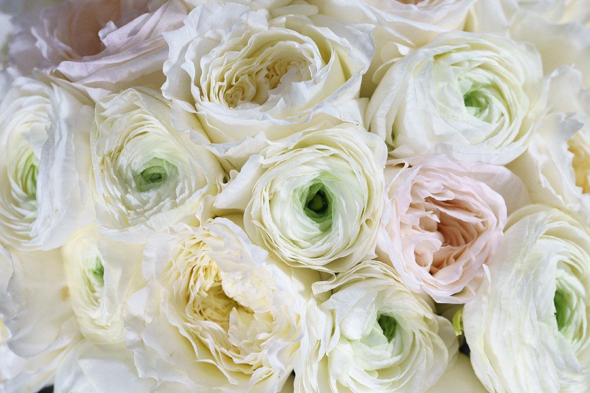 Букет невесты из роз Дэвида Остина и ранункулюсов (00902)