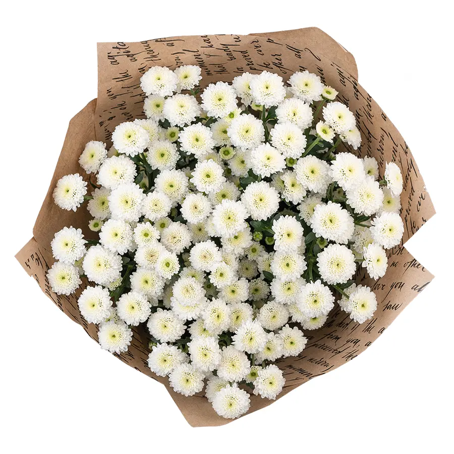 Букет из 11 белых кустовых хризантем Сантини Калимеро Сноу (02691)