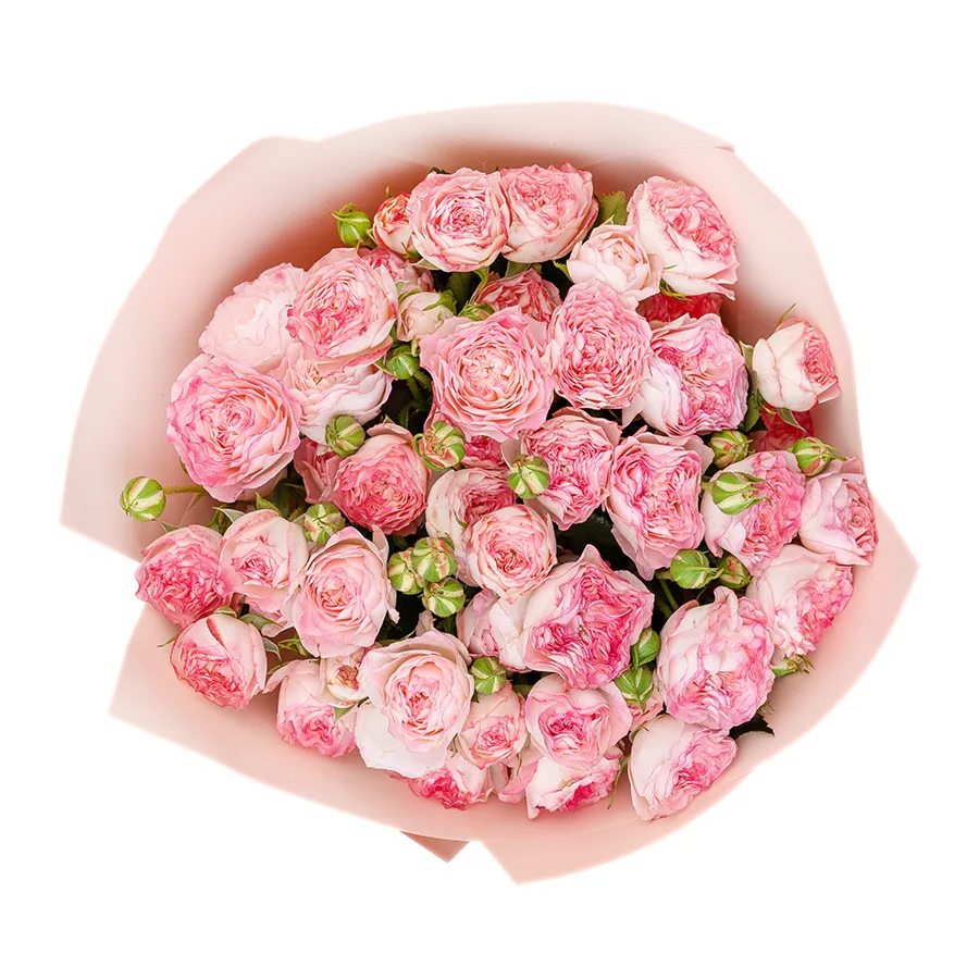 Букет из 9 нежно-розовых с яркими краями кустовых роз Свит Старс (02603)