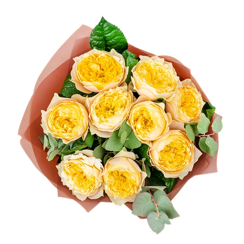Букет из 9 пионовидных роз Голден Вувузела (01296)