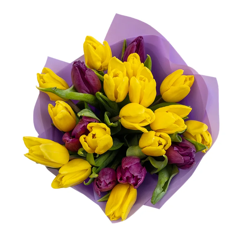 Букет из 21 желтого и фиолетового тюльпана (02053)