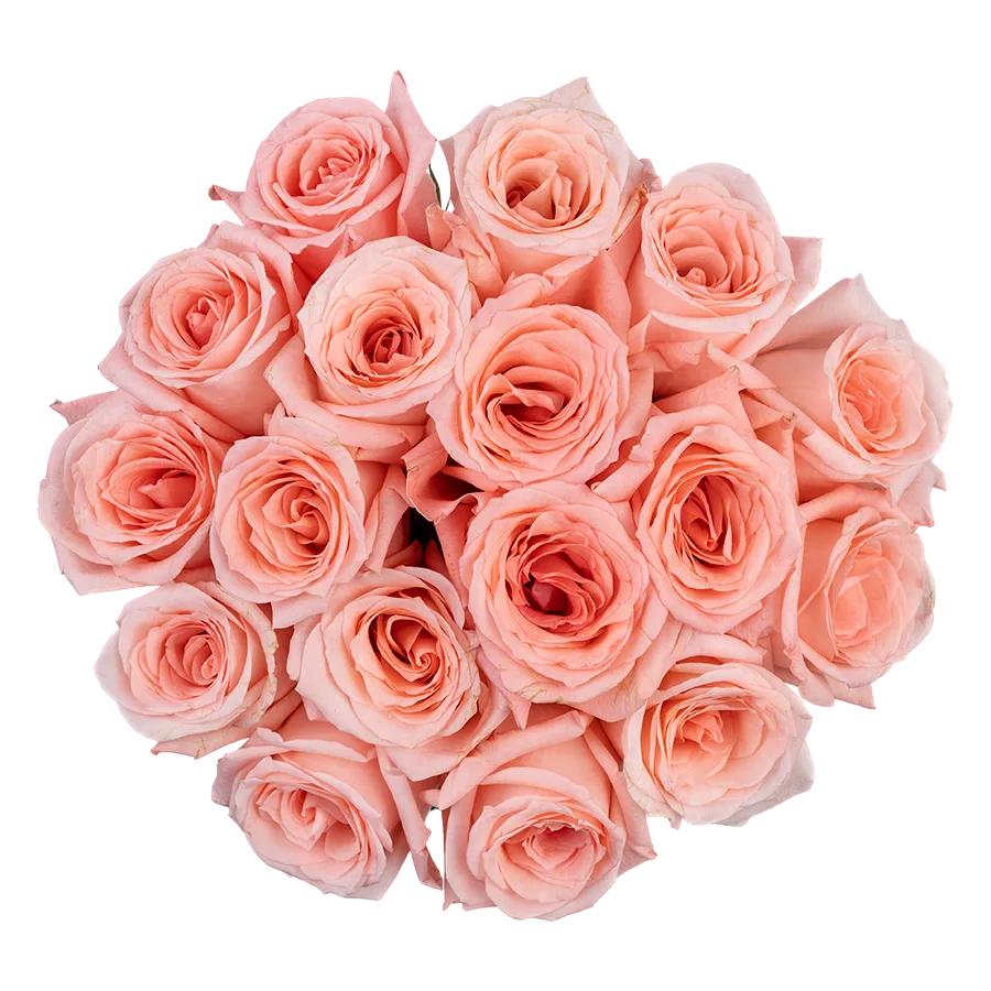 Букет из 17 светло-розовых роз Энгейджмент (03850)