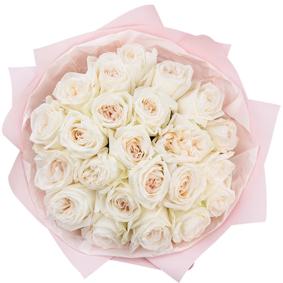 Букет из 23 ароматных белых садовых роз Вайт О’Хара в упаковке (02786)