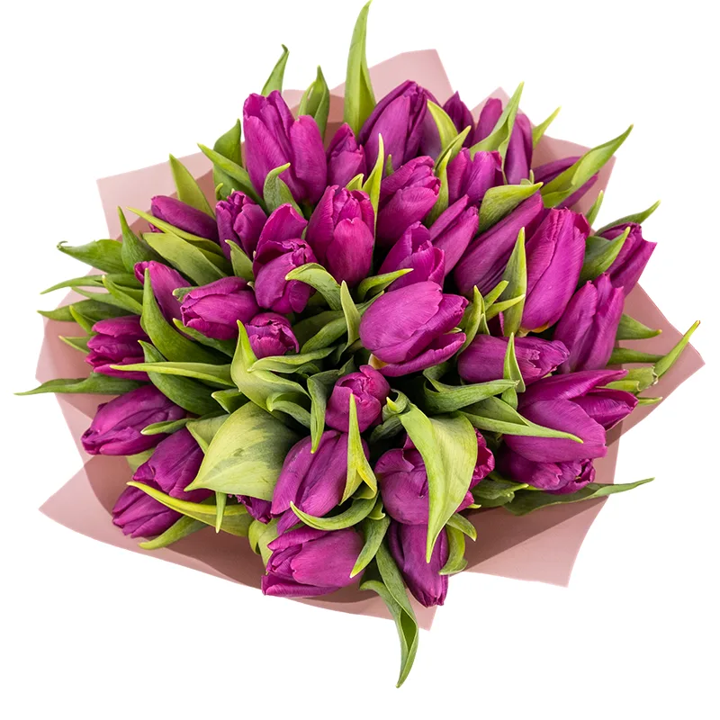 Букет из 39 фиолетовых тюльпанов (01917)