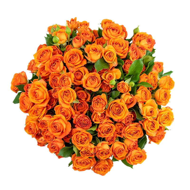Букет из 15 оранжевых кустовых роз Бейб (01642)