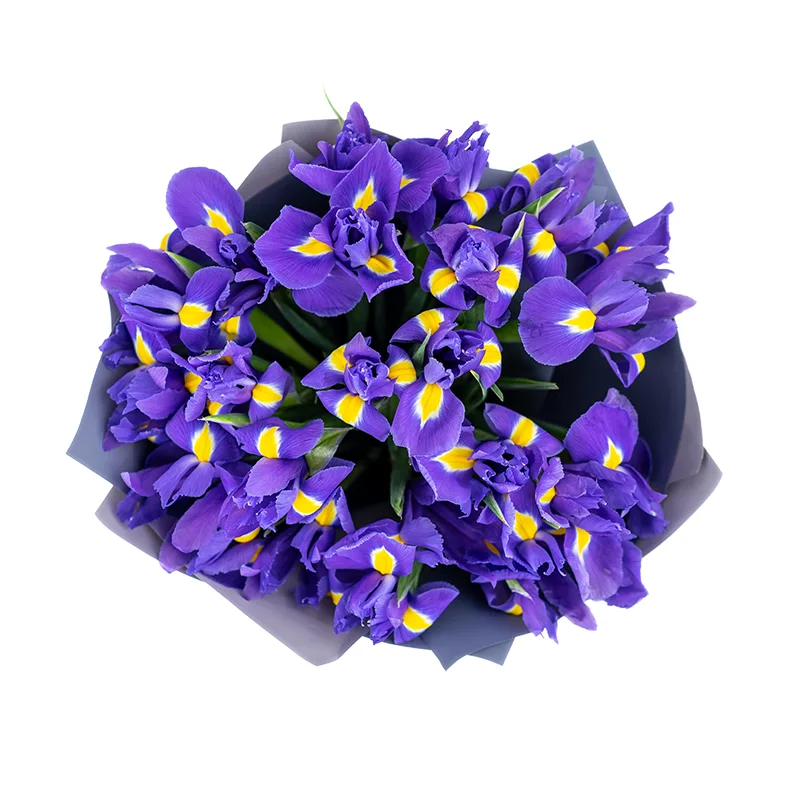 Букет из 21 фиолетово-синего ириса Блю Мэйджик (01186)