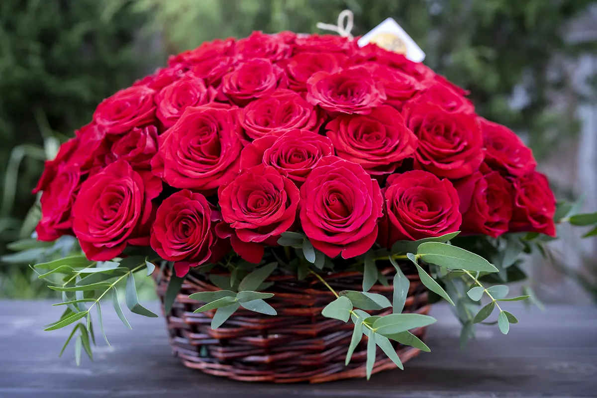 Корзина с красными розами (00836)