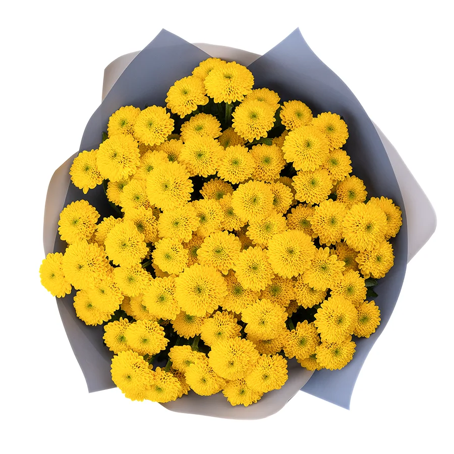Букет из 13 желтых кустовых хризантем Сантини Ауринко (02675)