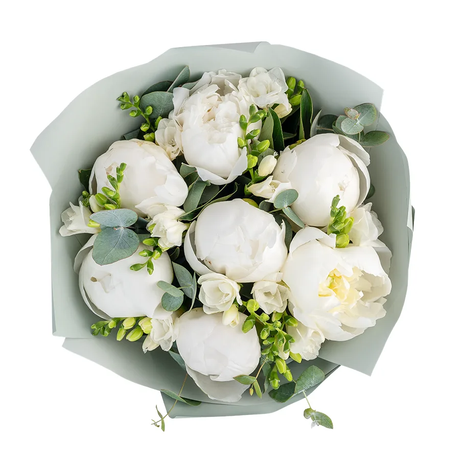 Букет из 17 цветов — ароматных белых пионов и фрезий (02530)