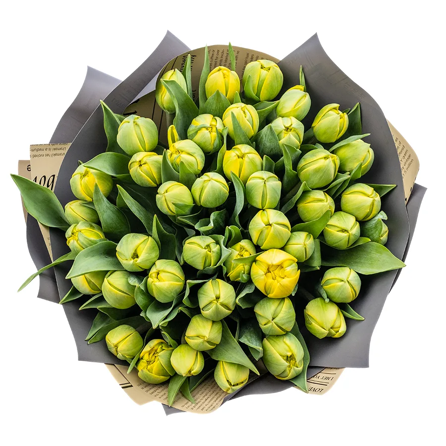 Букет из 43 желтых махровых тюльпанов Йелоу Помпонет (02435)