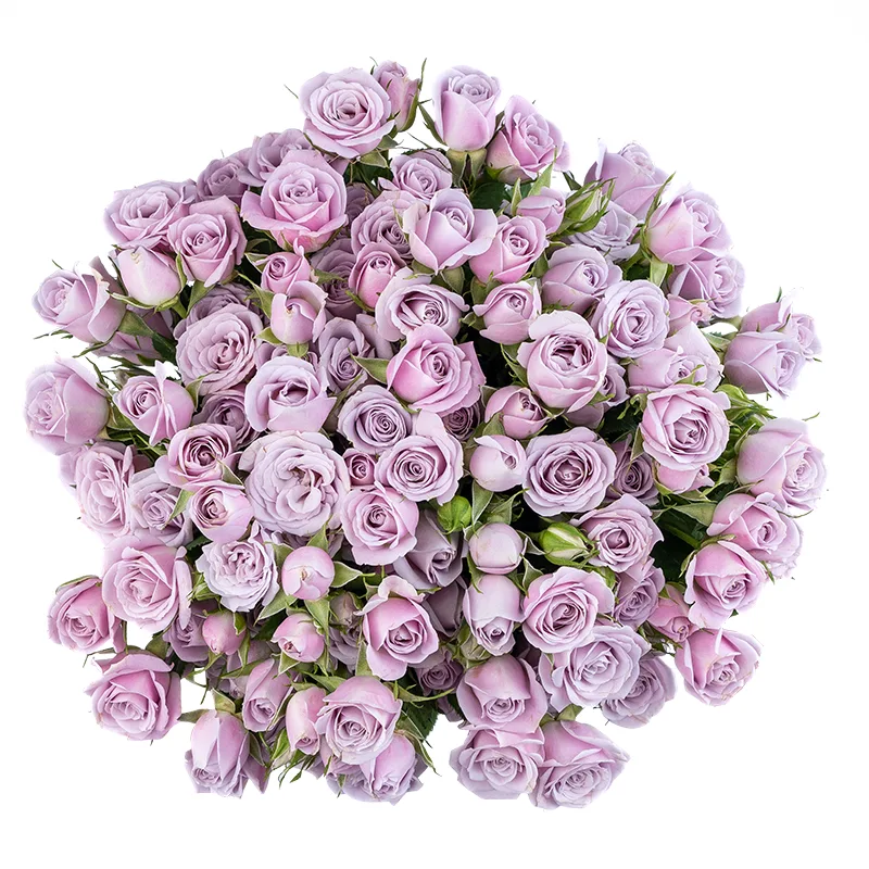 Букет из 23 нежно-сиреневых кустовых роз Сильвер Шадоу (01847)