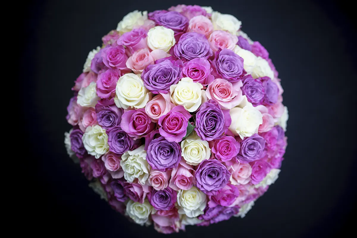 Букет из 101 белой, розовой и сиреневой розы (00723)