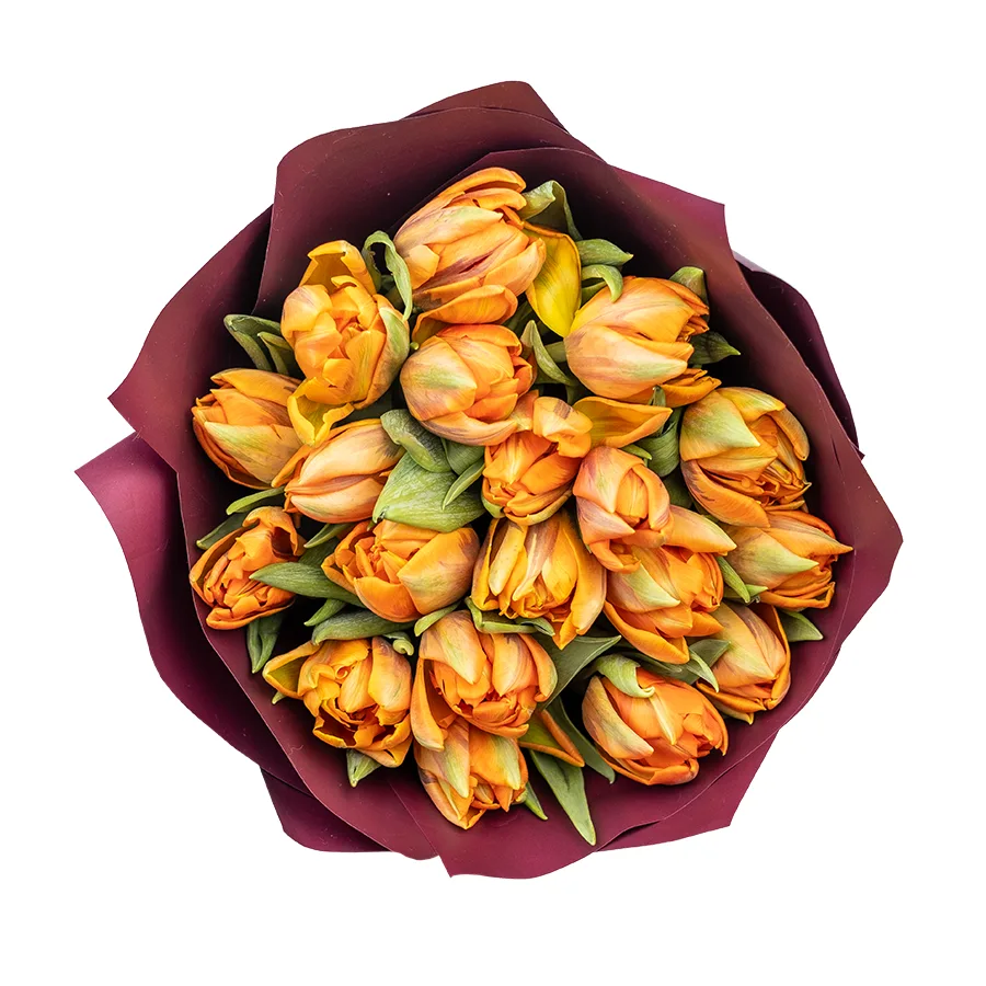 Букет из 19 оранжевых махровых тюльпанов Оранж Принцесс (02250)