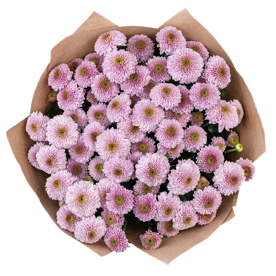 Букет из 11 розовых кустовых хризантем Сантини Дория Пинк (02636)