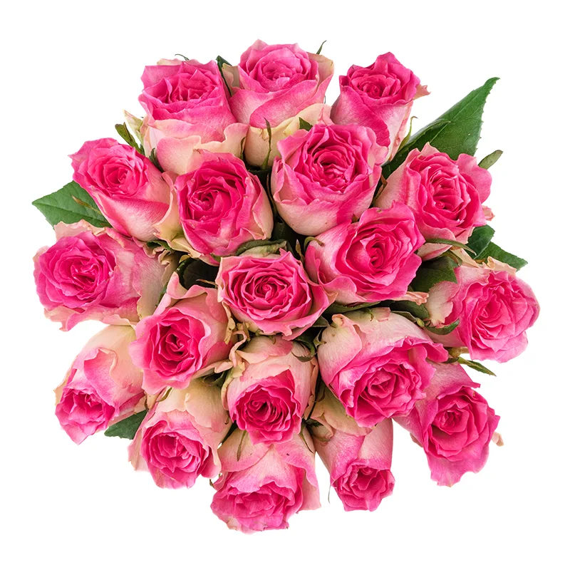 Букет из 19 бело-розовых роз Малибу (01439)