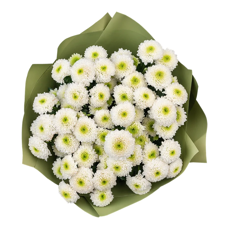 Букет из 9 белых кустовых хризантем Сантини Маверик Вайт (02643)