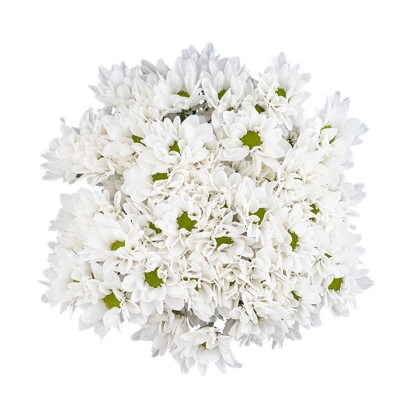 Букет из 9 белых кустовых хризантем (01791)