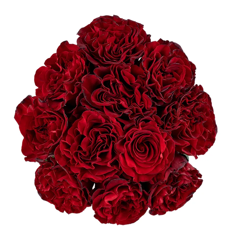 Букет из 11 тёмно-красных садовых роз Вонтед (01749)