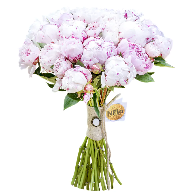 Букет из 29 розовых пионов Сара Бернар (00551)