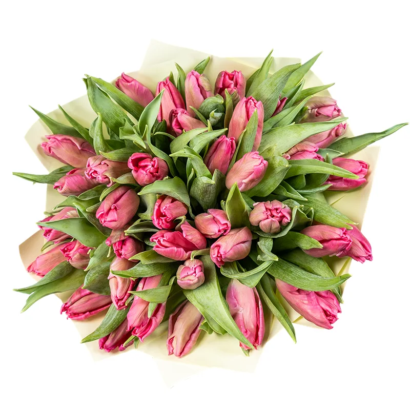 Букет из 37 розовых попугайных тюльпанов Марвел Пэррот (02060)