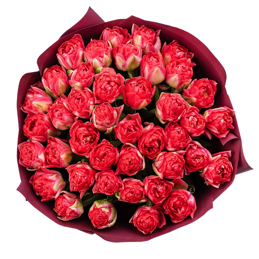 Букет из 41 красного махрового тюльпана Памплона (02399)