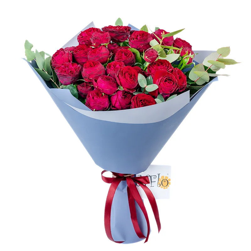 Букет из 15 бордовых кустовых пионовидных роз Марун (01307)