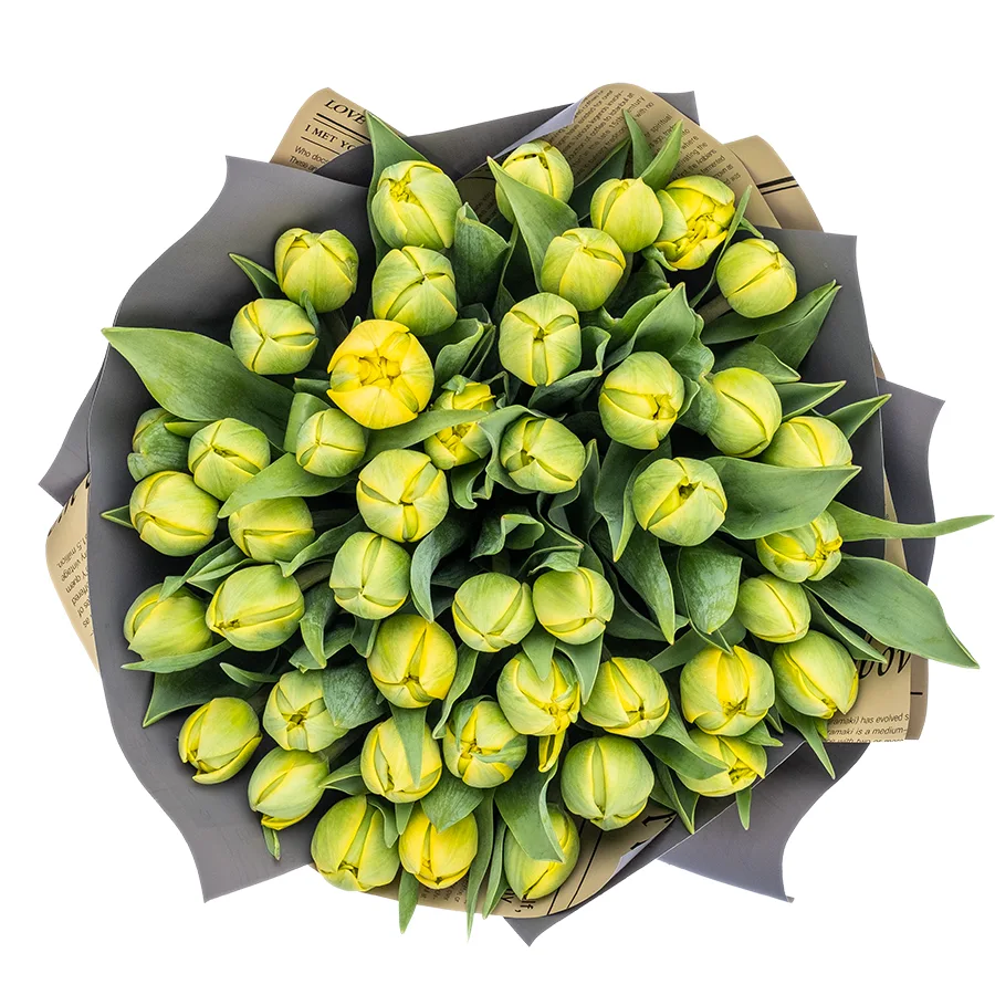 Букет из 45 желтых махровых тюльпанов Йелоу Помпонет (02434)