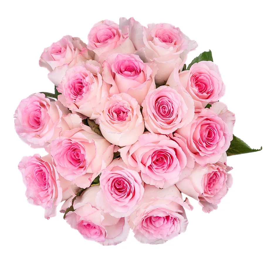 Букет из 17 бело-розовых роз Мандала (02663)