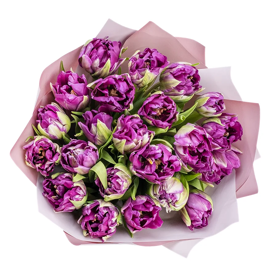 Букет из 23 фиолетовых пионовидных тюльпанов Пурпл Пеони (02323)
