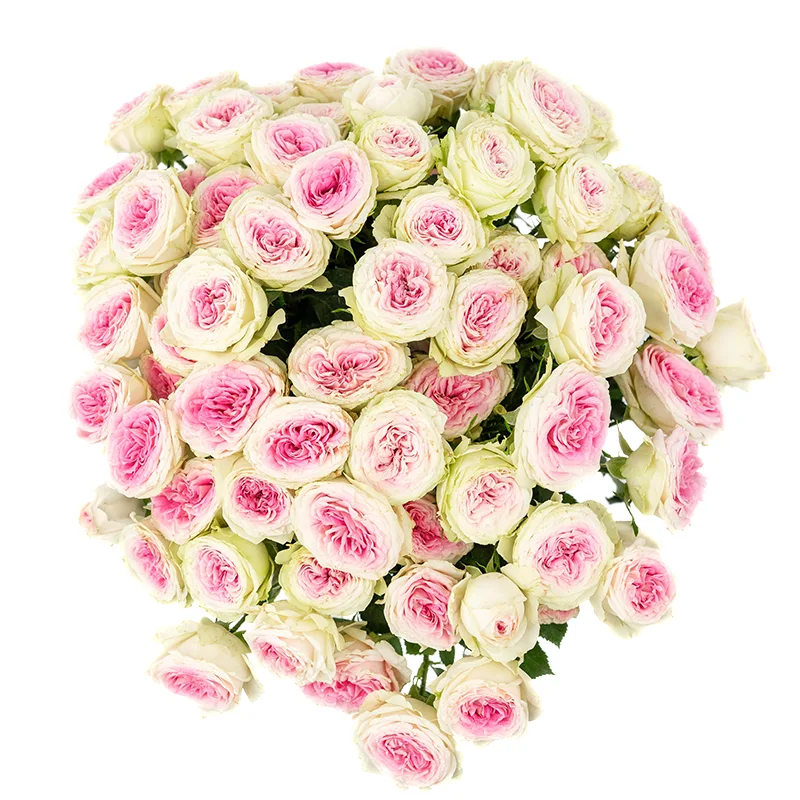 Букет из 13 розовых кустовых пионовидных роз Джелато (01171)