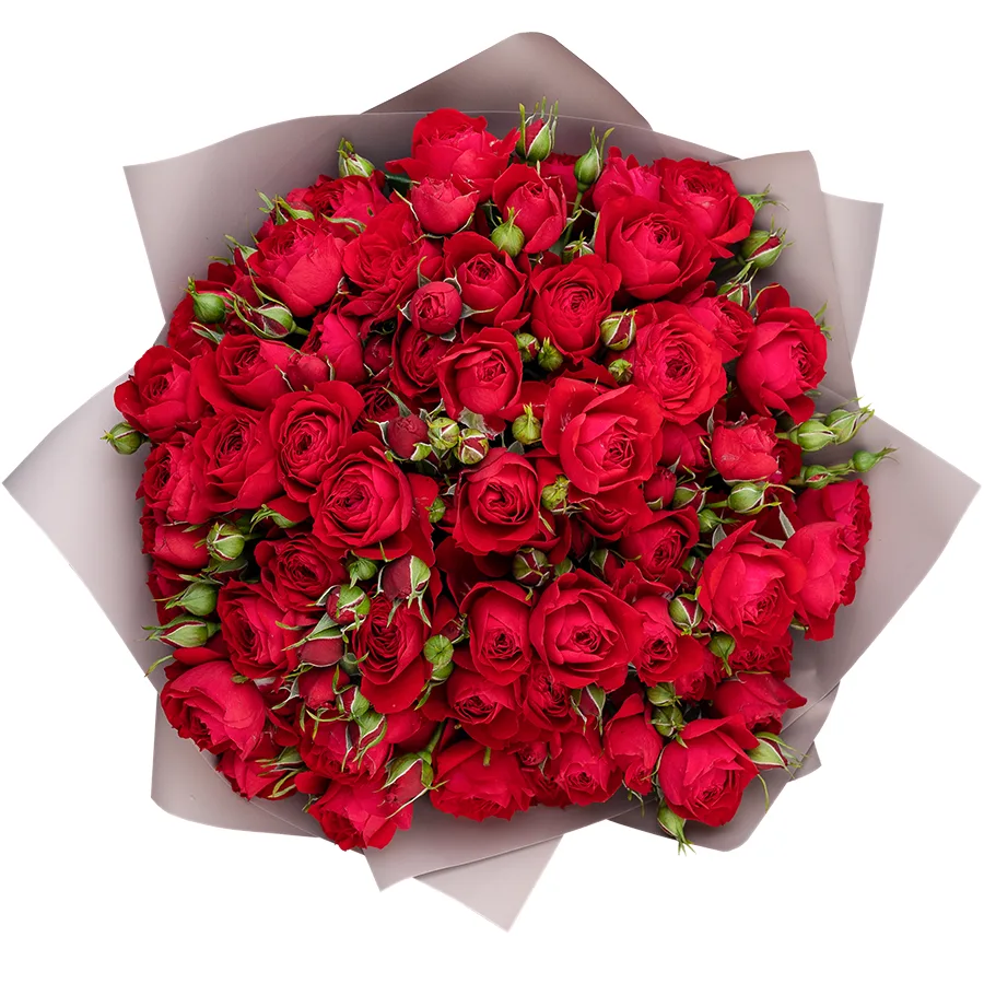 Букет из 13 ярко-красных кустовых пионовидных роз Скарлет Деменшн (02759)