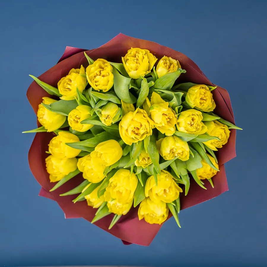 Букет из 25 желтых махровых тюльпанов Хоумран (02287)