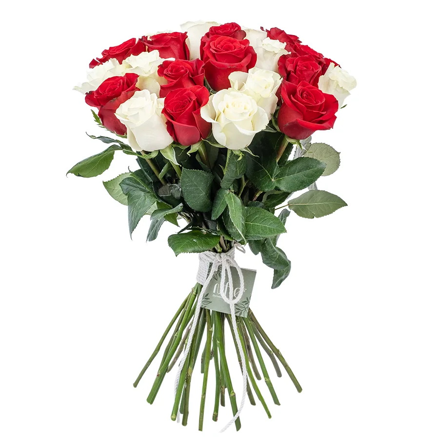 Букет из 25 красных и белых роз Фридом и Мондиаль (02215)