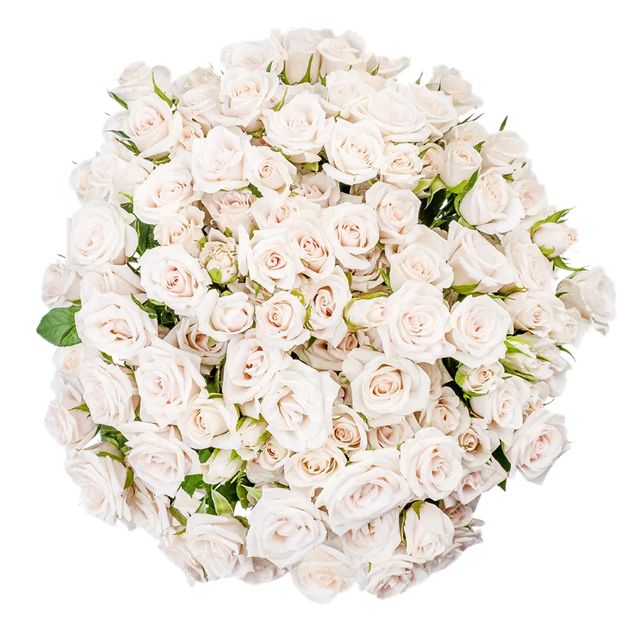 Букет из 23 бело-кремовых кустовых роз Роял Порцелина (02353)