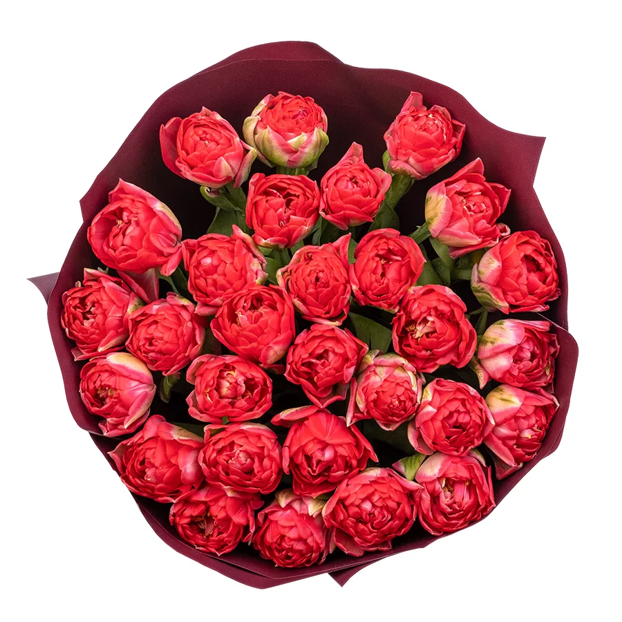 Букет из 29 красных махровых тюльпанов Памплона (02405)