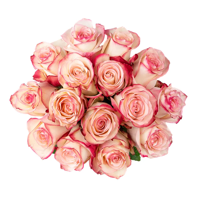 Букет из 15 кремовых с красными краями роз Свитнес (01370)