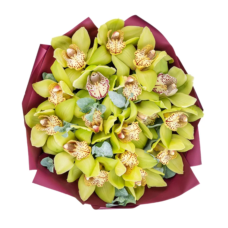 Букет из 17 зелёных орхидей Цимбидиум (01840)