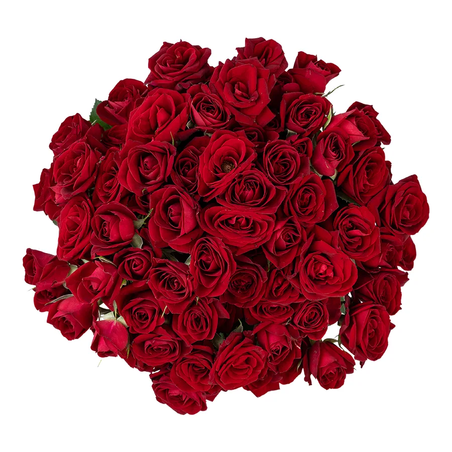 Букет из 21 бордовой кустовой розы Доминика (03078)